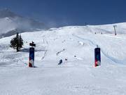 Skimovie run