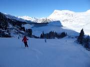 Kopssee descent