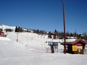Beginner area at the valley station