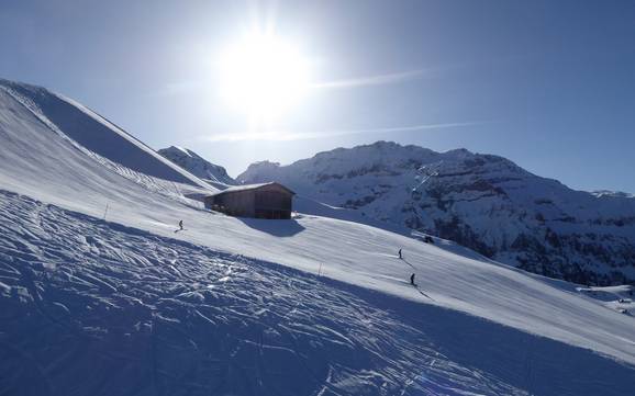 Slope offering Engstligen Valley (Engstligental) – Slope offering Adelboden/Lenk – Chuenisbärgli/Silleren/Hahnenmoos/Metsch