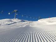 Fresh corduroy in the morning