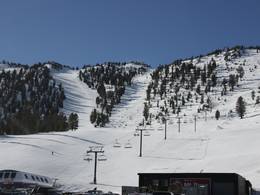 Mt. Rose