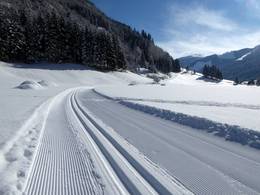 Riesneralm – Donnersbachwald