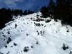Ski resorts for advanced skiers and freeriding Pacific Ranges – Advanced skiers, freeriders Cypress Mountain
