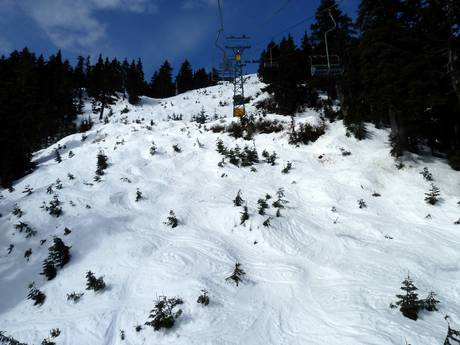 Ski resorts for advanced skiers and freeriding Vancouver – Advanced skiers, freeriders Cypress Mountain