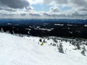 Falcon Glades