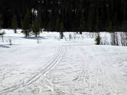 Trail in Vemdalsskalet