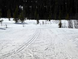 Vemdalsskalet