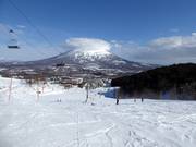 Slopes in the Grand Hirafu area