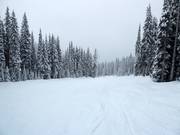 Silversheep slope
