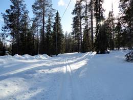 Ylläs