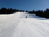 Widening and improvement of the Sport run in Zell