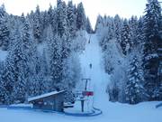 Gryonne - T-bar