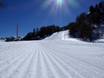 Slope preparation Magic Pass – Slope preparation Bürchen/Törbel – Moosalp