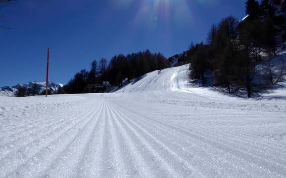 Slope preparation Vispertal – Slope preparation Bürchen/Törbel – Moosalp