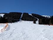 Family slope