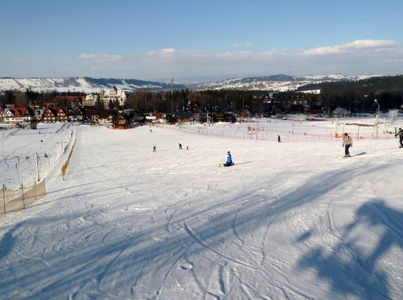 Beginner slopes in the valley area