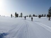 Cross-country trails in Idre Himmelfjäll