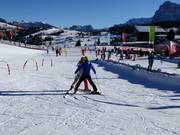 Beginner courses at the ski schools