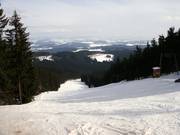 T-bar lift slope