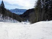 Easy slope Rehkogel