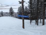 Slope signage in the Snow King Mountain ski area