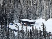 Hummingbird Lodge