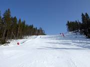 Frida Race Arena slope No. 11