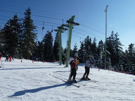 Schwarzwaldhochstrasse: Test reports from ski resorts – Test report Hundseck – Bühlertallifte