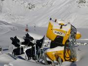 Snow cannon