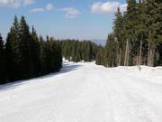 Easy slope in Mechi Chal