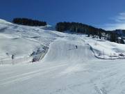 Grünboden Run