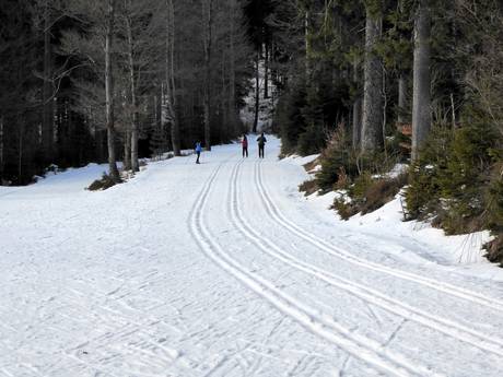 Cross-country skiing Regen – Cross-country skiing Arber