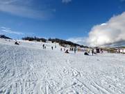 Easy slope Woodrun