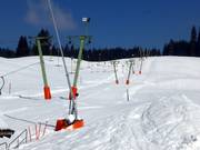 Wasenlift II - T-bar