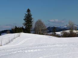 Nesselwang – Alpspitze (Alpspitzbahn)