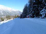Rifenal Run No. 1
