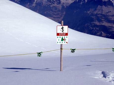 Bernese Oberland: environmental friendliness of the ski resorts – Environmental friendliness Kleine Scheidegg/Männlichen – Grindelwald/Wengen