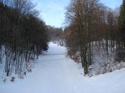 Forest run at the Wurzelbrunnen lift