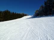 Fuchs Run