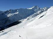 Slopes at Elm