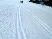 Trail in Flachau