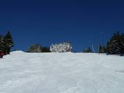 Wide, easily manageable slope