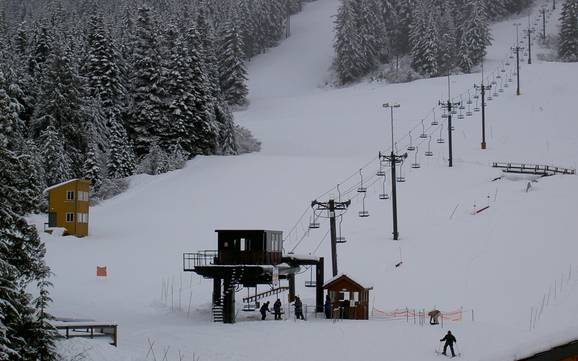 Skiing near Government Camp
