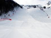 In addition to the altitude, snow cannons ensure reliable snow conditions.