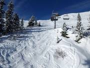 Mogul slope