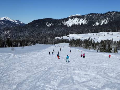 Ski resorts for beginners in the Indy Pass area of validity – Beginners Steinplatte Winklmoosalm – Waidring/Reit im Winkl