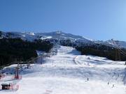 Stella Alpina slope