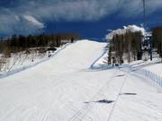 Golden Peak Race