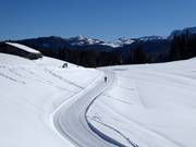 Trail on the Winklmoos-Alm